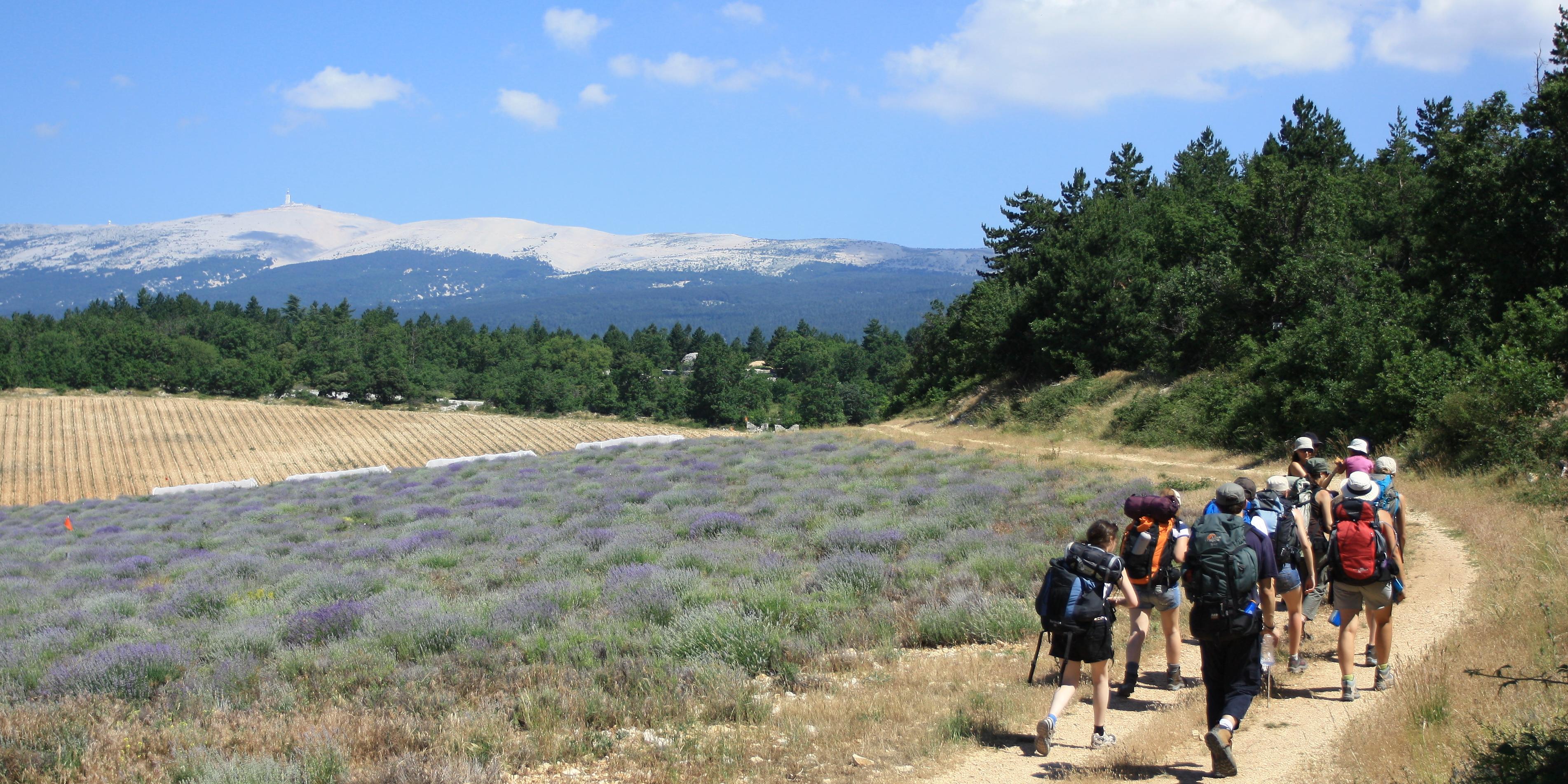 csm_mont-ventoux-col-des-abeilles_7ea8933f3e.jpg